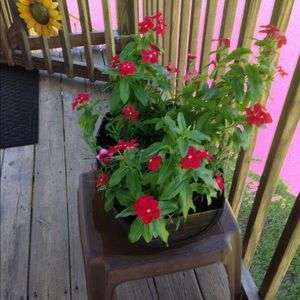 Meet your Posher, Marti